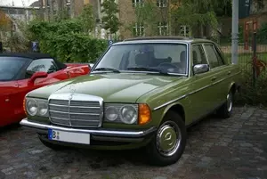 1976 220 (W123)